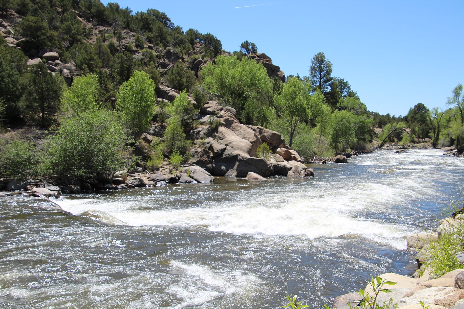Winds of Destiny RVLife A Walk in Buena Vista River Park, 5/16/2018